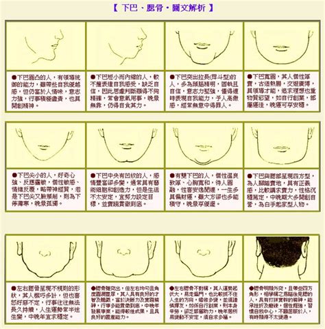 沒下巴面相|面相大全——下巴